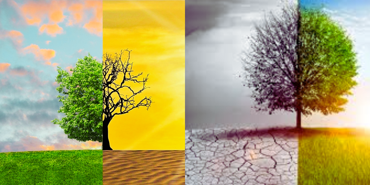 Climate Change and Its Impacts: Understanding the Global Crisis