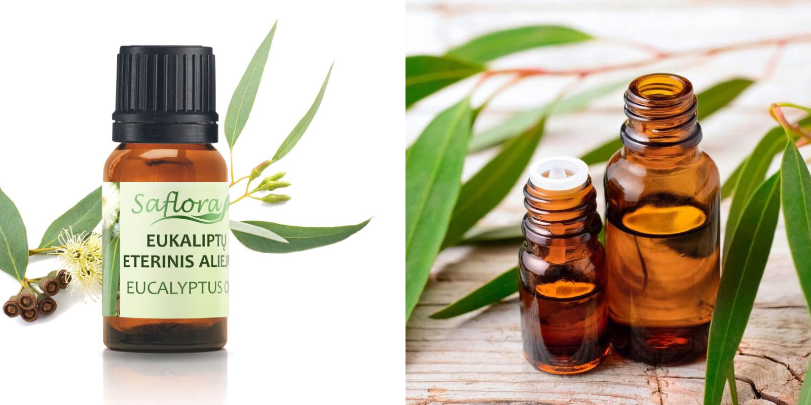 Eucalyptus Essential Oil: Health Benefits, Uses, and Safety Tips
