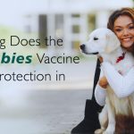 Rabies Vaccine: Importance, Benefits, and Protection Against Infection