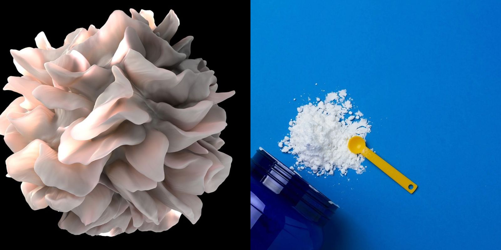Research Shows Creatine Could Help Fight Cancer: What the Latest Findings Reveal