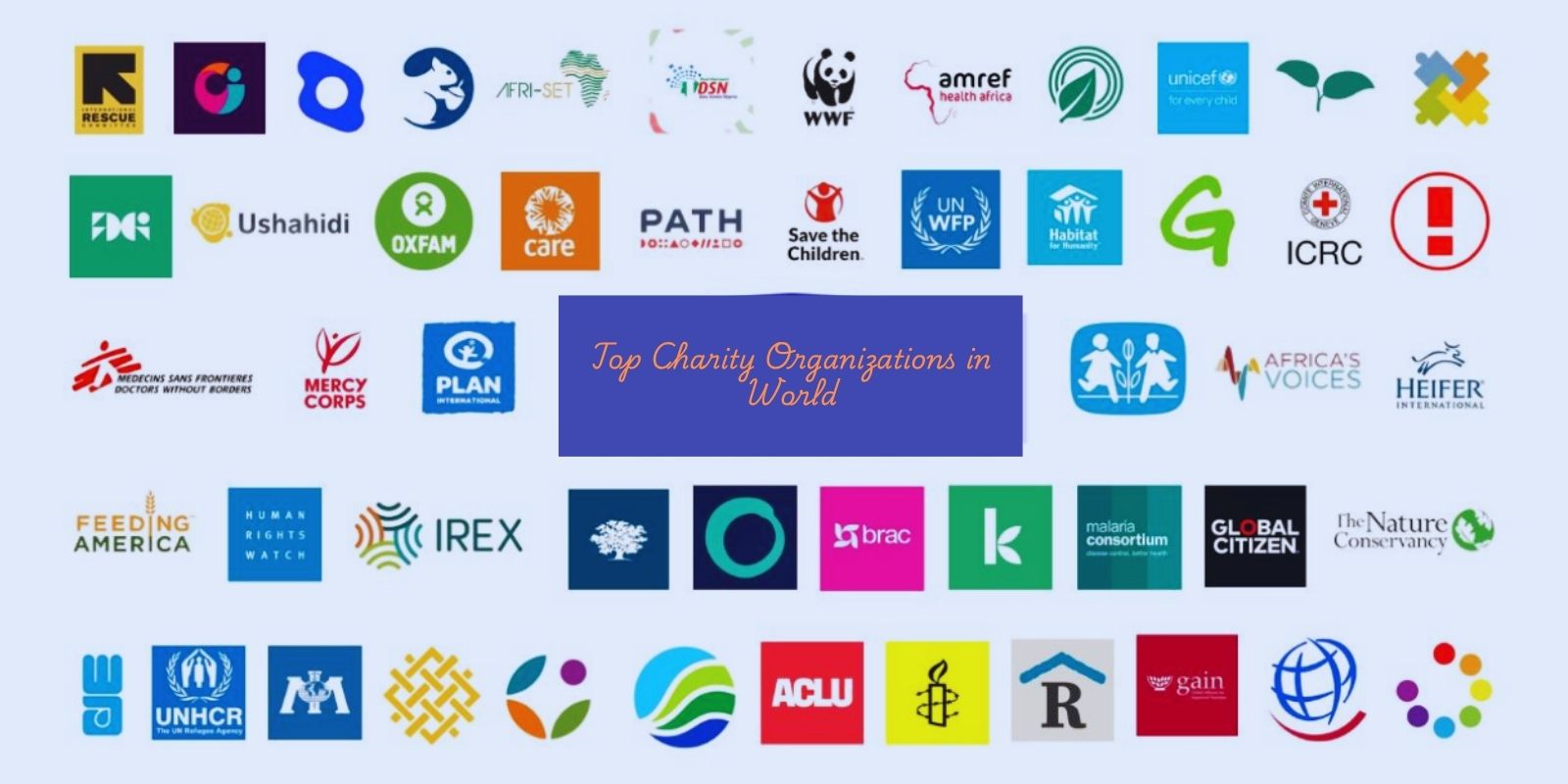 Top Charity Organizations in World: Making a Difference Through Global Impact